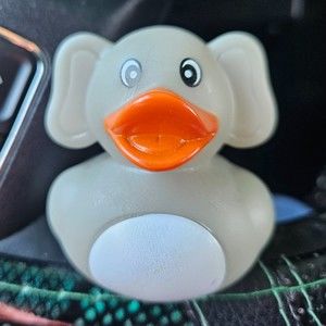 Meet your Posher, Renee